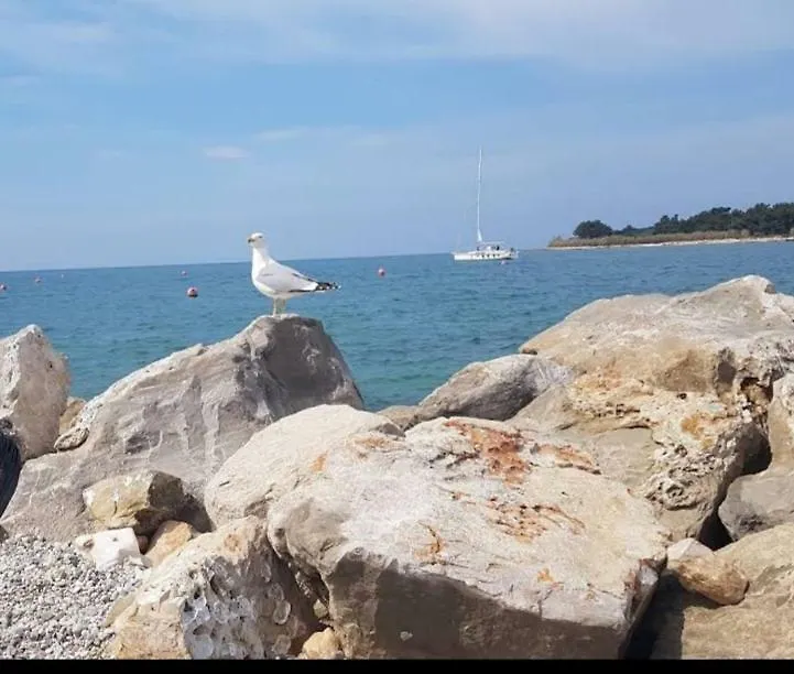 Apartments Relax Zone Umag 0*,  Kroatien