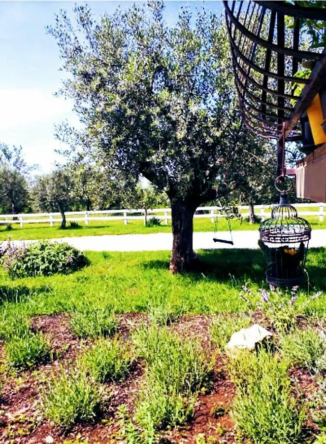Apartments Relax Zone Umag